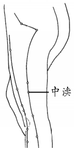 中渎穴位于大腿外侧正中线上