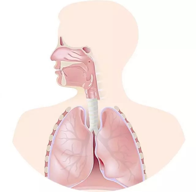 呼吸系统疾病：哮喘、慢性支气管炎、过敏性鼻炎、慢性鼻炎、咽炎、体虚感冒