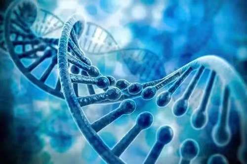 禹城市中医院开展基因检测肿瘤风险评估相关检查